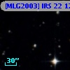 [MLG2003] IRS 22 124