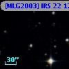[MLG2003] IRS 22 126