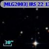 [MLG2003] IRS 22 130