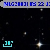 [MLG2003] IRS 22 134