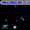 [MLG2003] IRS 22 138