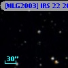 [MLG2003] IRS 22 202
