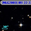 [MLG2003] IRS 22 228