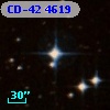 CD-42  4619