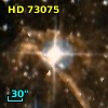 HD  73075
