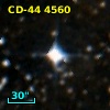 CD-44  4560