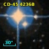 CD-45  4236B