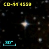 CD-44  4559