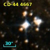 CD-44  4667