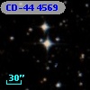 CD-44  4569