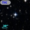 TYC 7687-875-1