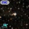 TYC 7687-2186-1
