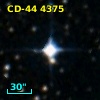 CD-44  4375
