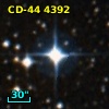 CD-44  4392