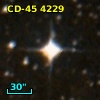 CD-45  4229