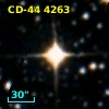 CD-44  4263