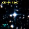 CD-44  4267