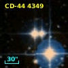 CD-44  4349