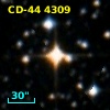CD-44  4309