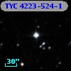 TYC 4223-524-1