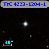 TYC 4223-1204-1