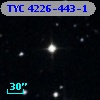 TYC 4226-443-1