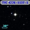 TYC 4226-1137-1