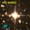 HD  66892