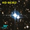HD  66362