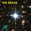 HD  66654