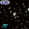 L  313-17