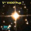 V* V400 Pup