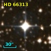 HD  66313