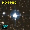 HD  66462