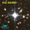 HD  66480