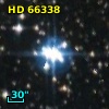 HD  66338
