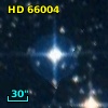 HD  66004