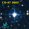 CD-47  3603