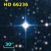 HD  66236