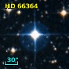 HD  66364