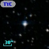 TYC 8137-1300-1