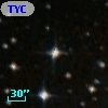 TYC 8138-1031-1