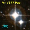 V* V377 Pup