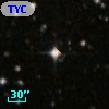TYC 8141-1181-1