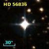 HD  56836