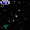 Ruiz 207-134