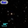 Ruiz 207-89