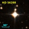 HD  56288