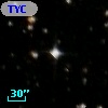 TYC 8131-516-1