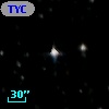 TYC 8132-1619-1